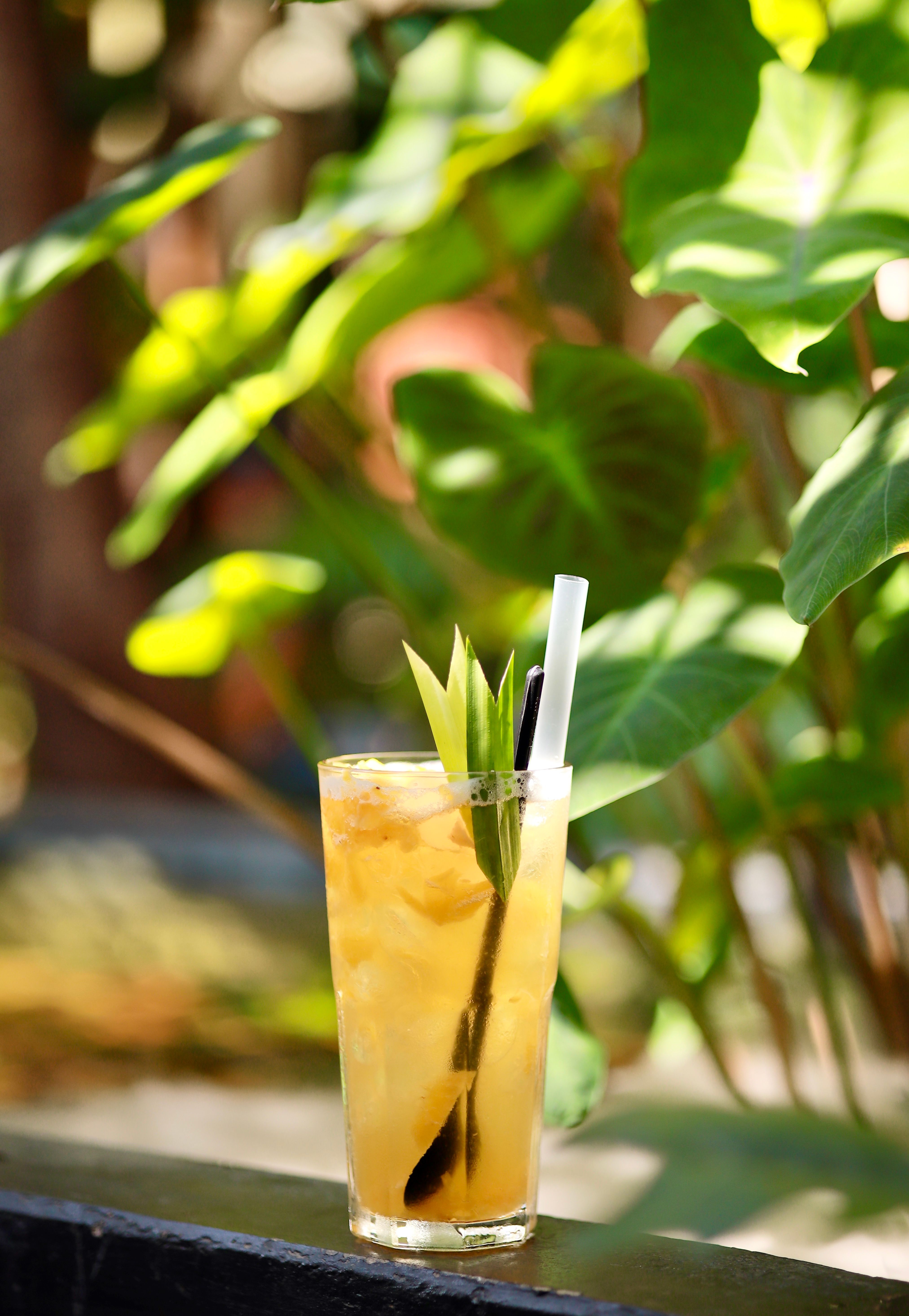 Lychee Plum Soda